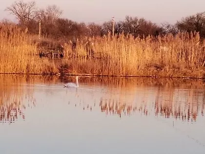 Opština Zrenjanin, Farkaždin | 4zida.rs