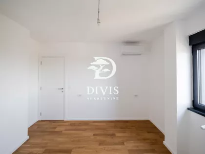 Dragoslava Srejovića | 4zida.rs
