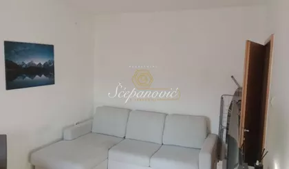Salajka | 4zida.rs