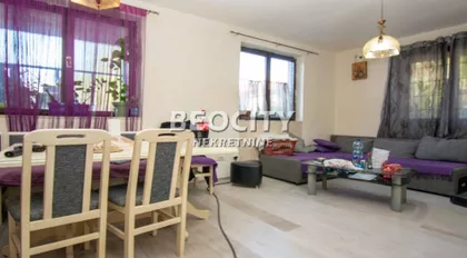 Cara Dušana | 4zida.rs