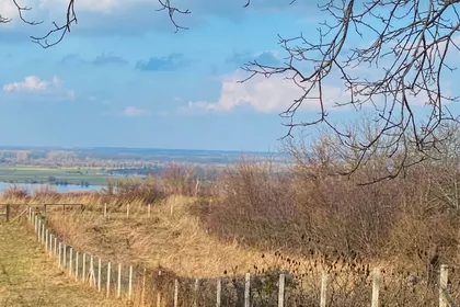 Krčedin | 4zida.rs