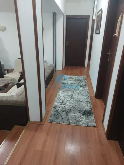 Hrizantema | 4zida.rs