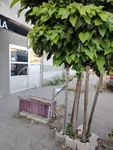 Lokal | 4zida
