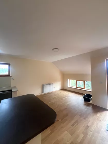 MILANA BLAGOJEVICA SPANCA | 4zida.rs