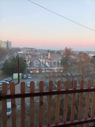 Bagljaš