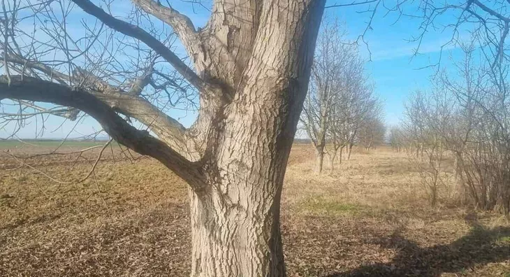 Poljoprivredno zemljište | 4zida