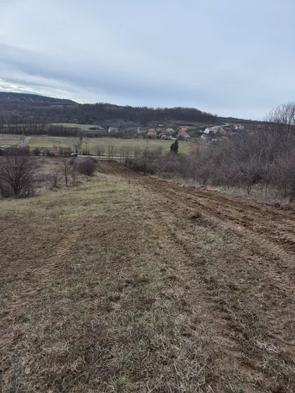 Save Kovačevića | 4zida.rs