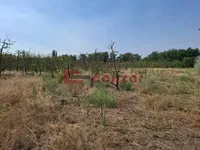 Srpski Šor, Zorka, Gradske lokacije, Subotica | 4zida.rs
