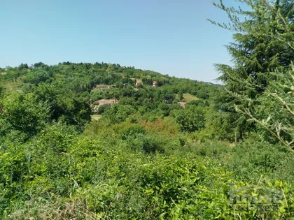Popovica | 4zida.rs