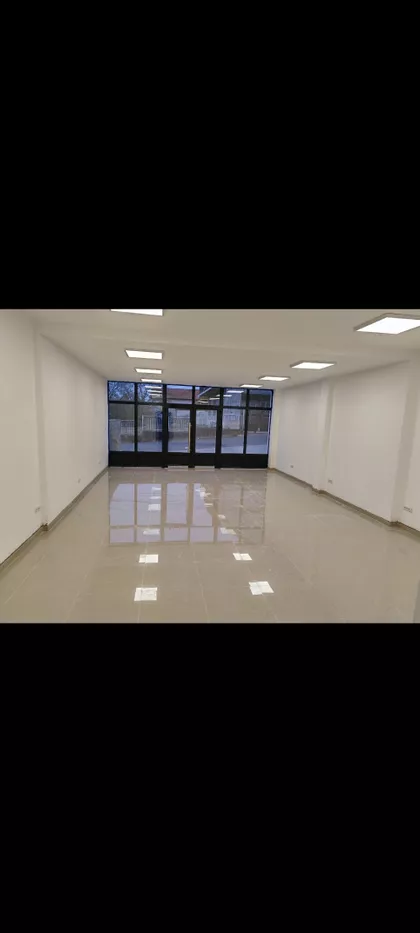 Bulevar Revolucije 122a | 4zida.rs
