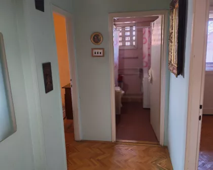 Bulevar Nikole Pašića | 4zida.rs