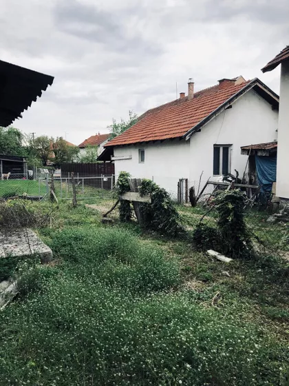 Jove Kursule | 4zida.rs