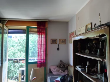 Šajkaška | 4zida.rs