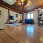 Novi Sad, Gradske lokacije, Stari Grad | 4zida.rs | 4zida.rs