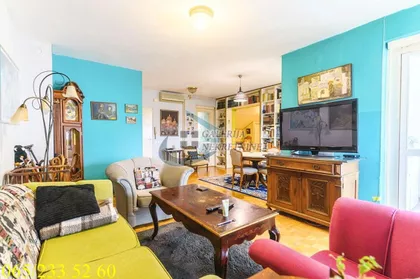 Dr Ivana Ribara | 4zida.rs