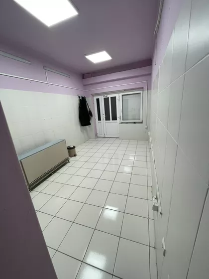 Lajoša Joa 39A | 4zida.rs