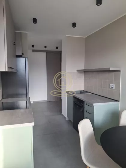 Dušana Vasiljava | 4zida.rs