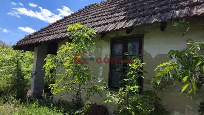 Srpski Šor | 4zida.rs