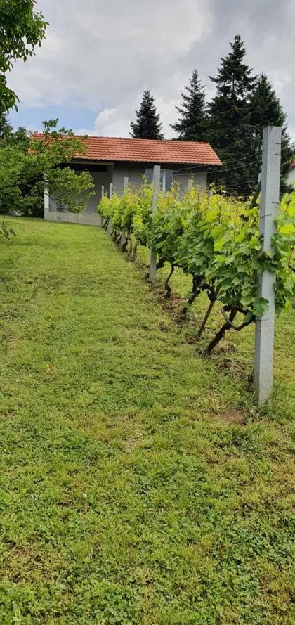 Okolne lokacije | 4zida.rs