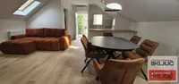 Novi Sad - Centar, Stari Grad, Gradske lokacije, Novi Sad | 4zida.rs | 4zida.rs