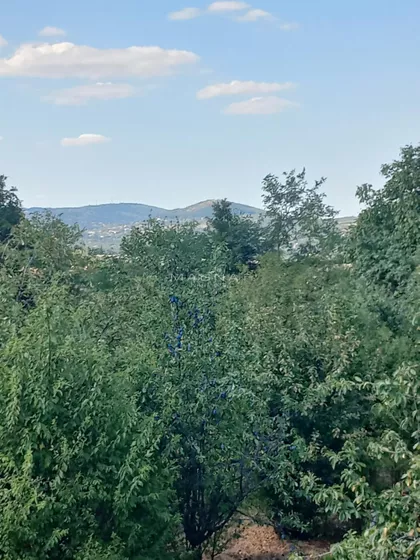 Selters Banja | 4zida.rs