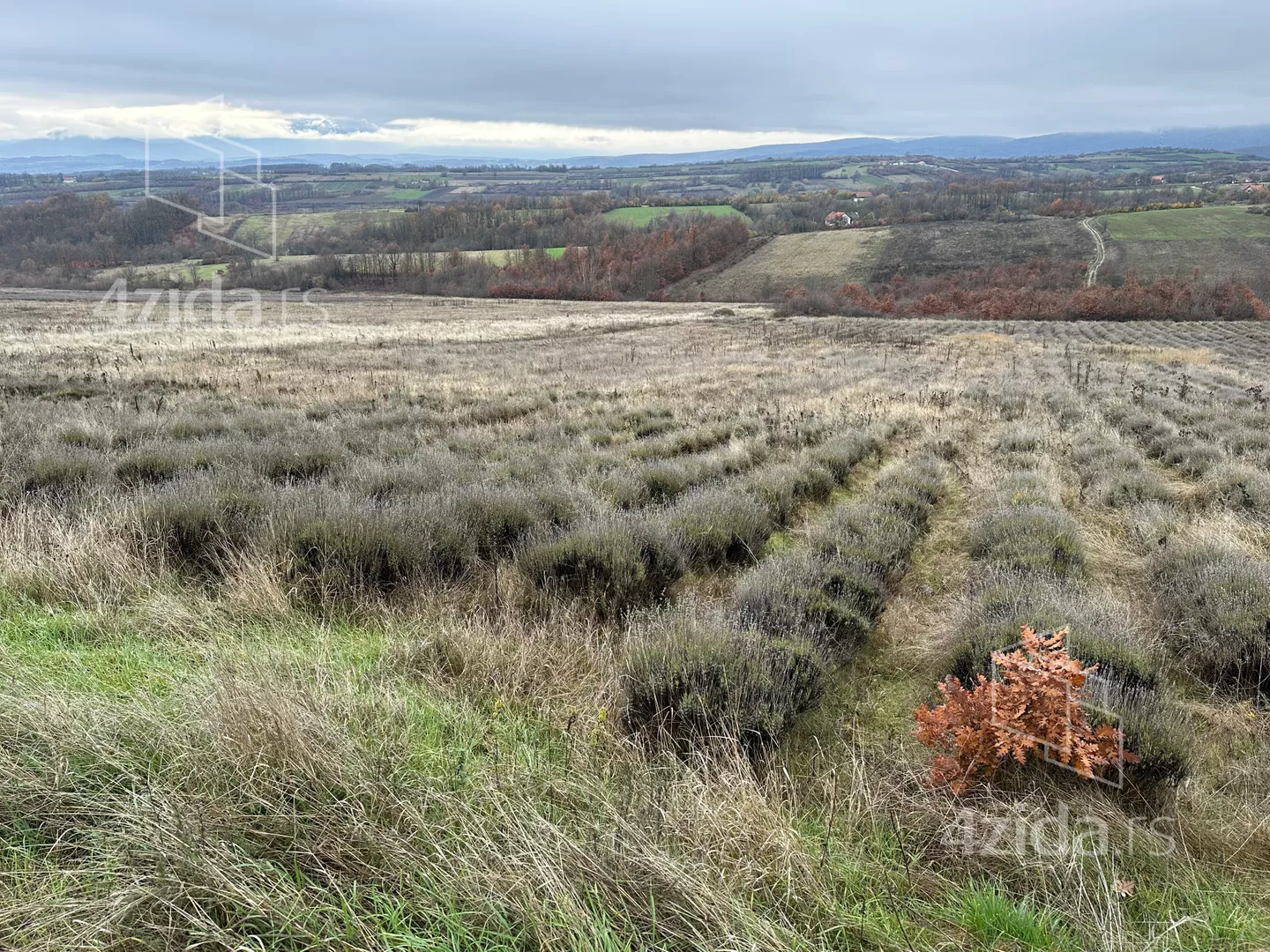 Poljoprivredno zemljište | 4zida