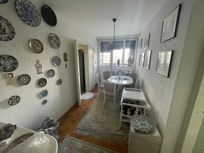 Stara Detelinara | 4zida.rs