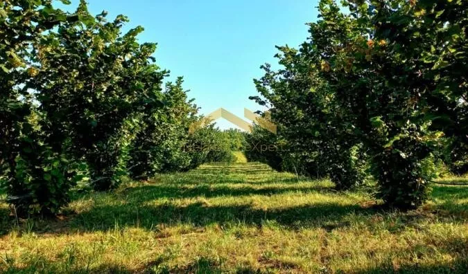 Poljoprivredno zemljište | 4zida