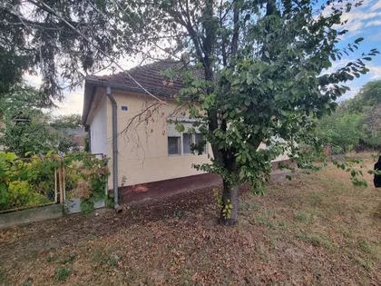 Bagremovo | 4zida.rs