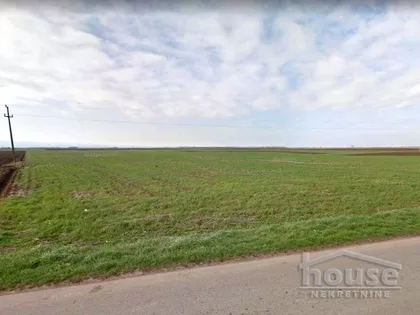 Budisava | 4zida.rs