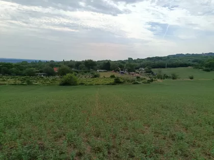 Slankamenački Vinogradi | 4zida.rs