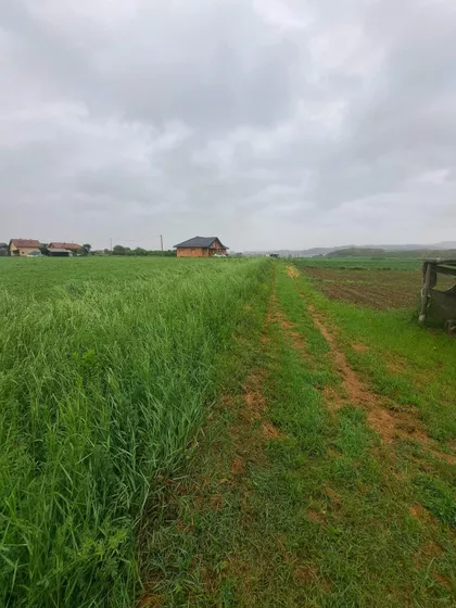 Lozničko Polje | 4zida.rs