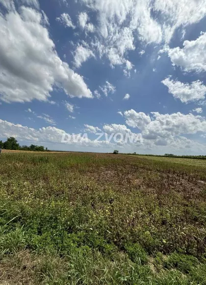 Čortanovci | 4zida.rs