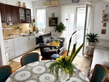 Serdar Janka Vukotića | 4zida.rs