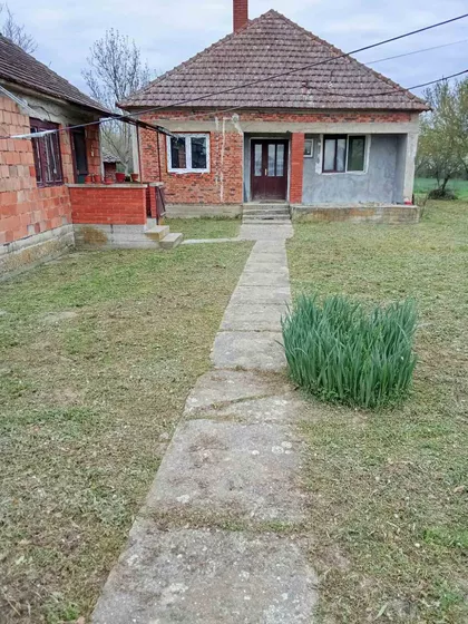 Kajmakčalanska | 4zida.rs
