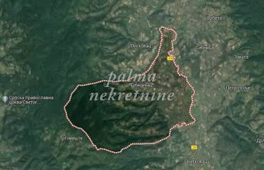 Guberevac