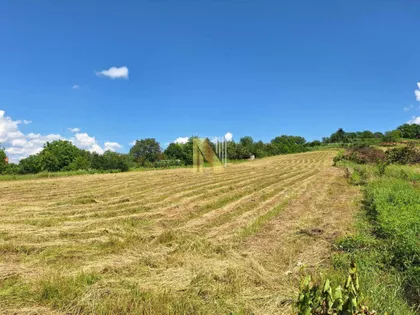 Alibegovac | 4zida.rs