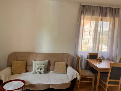 Mokranjčev | 4zida.rs