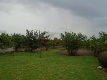 Makova Sedmica | 4zida.rs