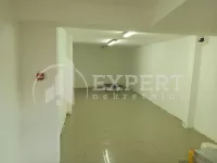 Lokal | 4zida