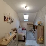 Novi Sad, Gradske lokacije, Adice | 4zida.rs | 4zida.rs