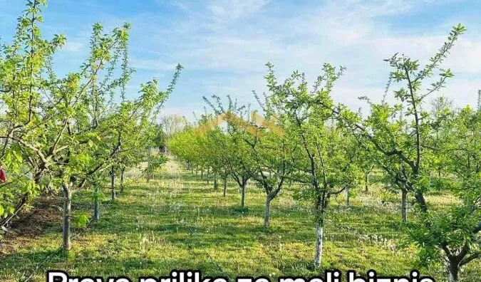 Plac | 4zida