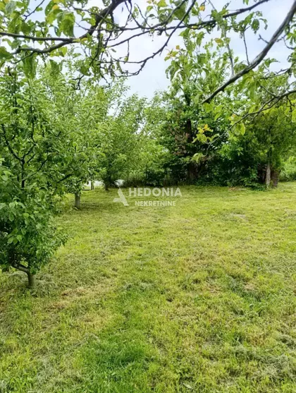 Vožda Karađorđa | 4zida.rs