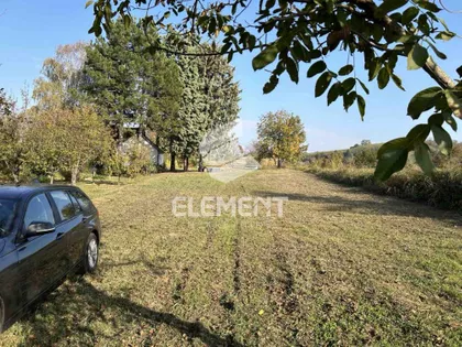 Alibegovac | 4zida.rs