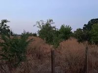 Tankosićevo, Kisač, Okolne lokacije, Novi Sad | 4zida.rs