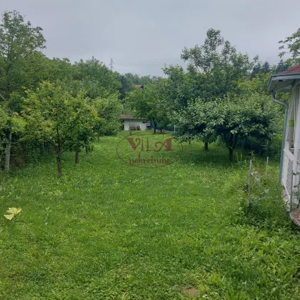 Alibegovac | 4zida.rs