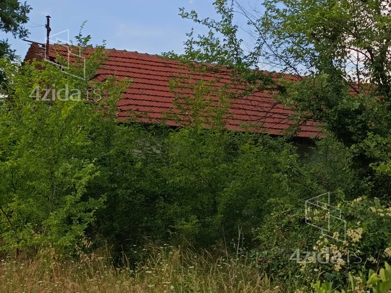 Plac | 4zida