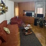 Novi Sad, Gradske lokacije, Rotkvarija, Socijalno | 4zida.rs | 4zida.rs