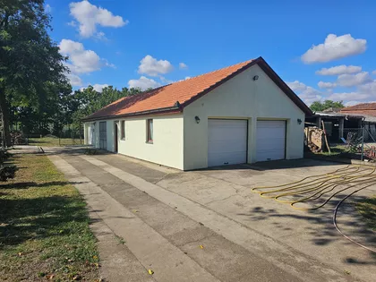 Pačir | 4zida.rs