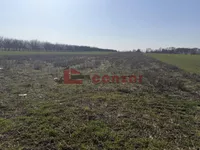 Aleksandrovo, Gradske lokacije, Subotica | 4zida.rs